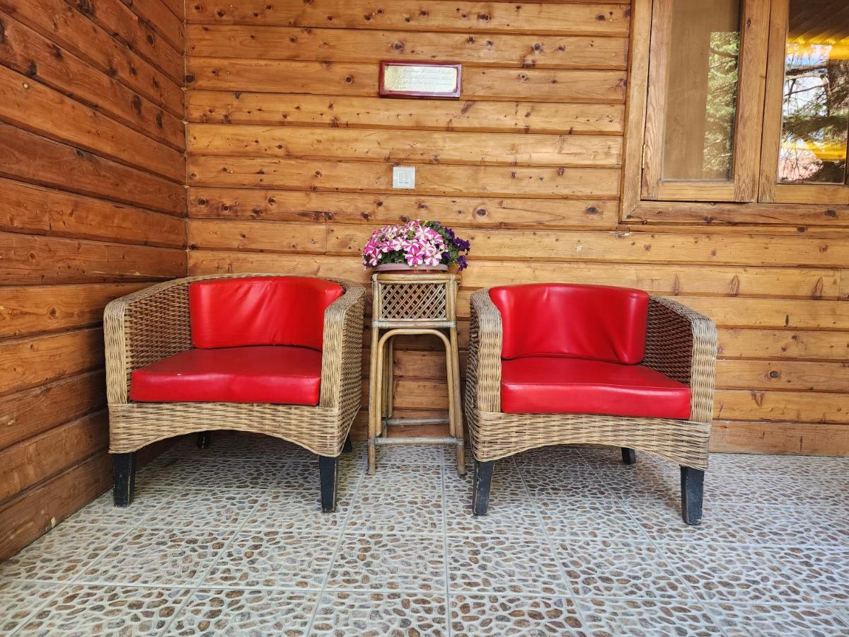 The Chalets Naldehra シムラー エクステリア 写真