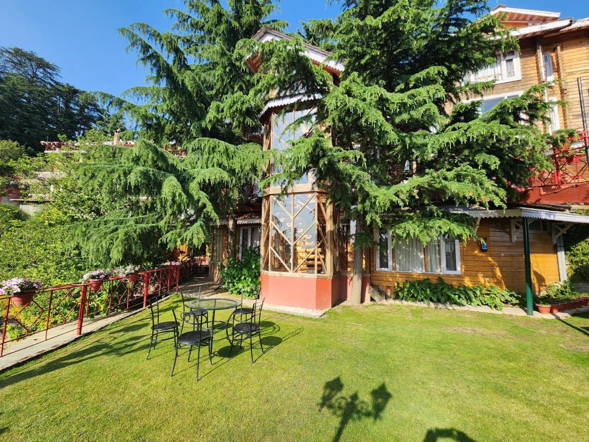 The Chalets Naldehra シムラー エクステリア 写真