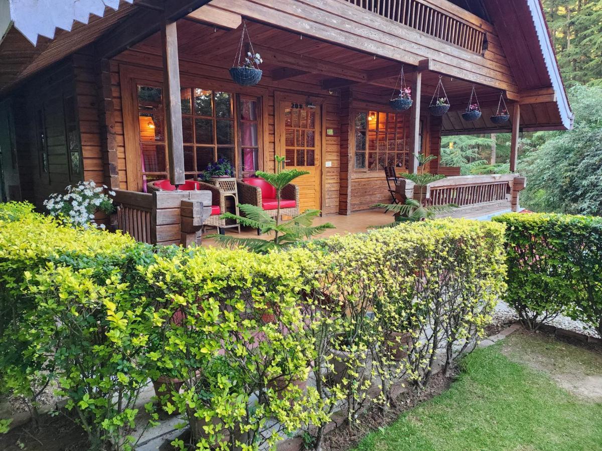 The Chalets Naldehra シムラー エクステリア 写真