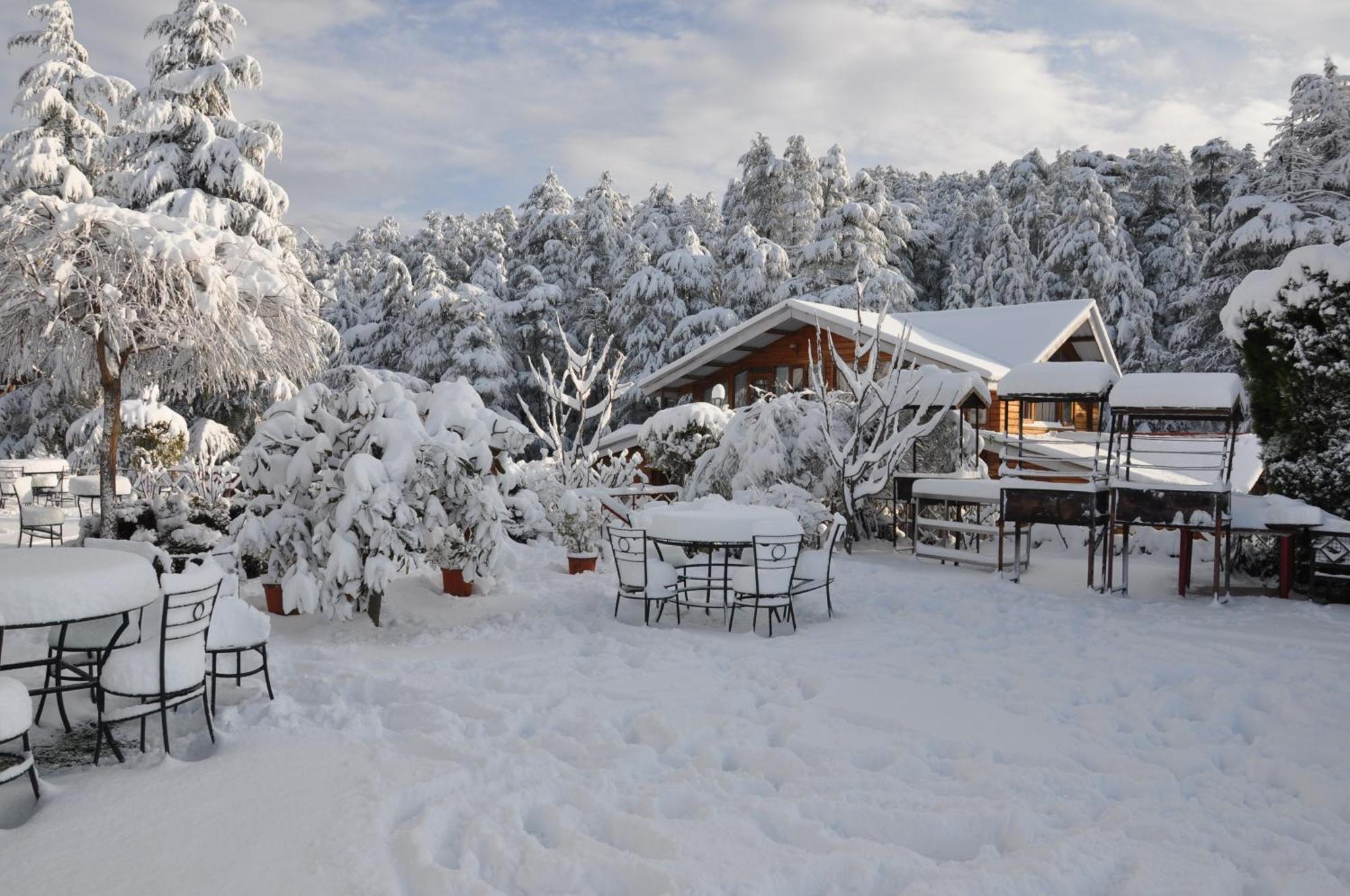 The Chalets Naldehra シムラー エクステリア 写真