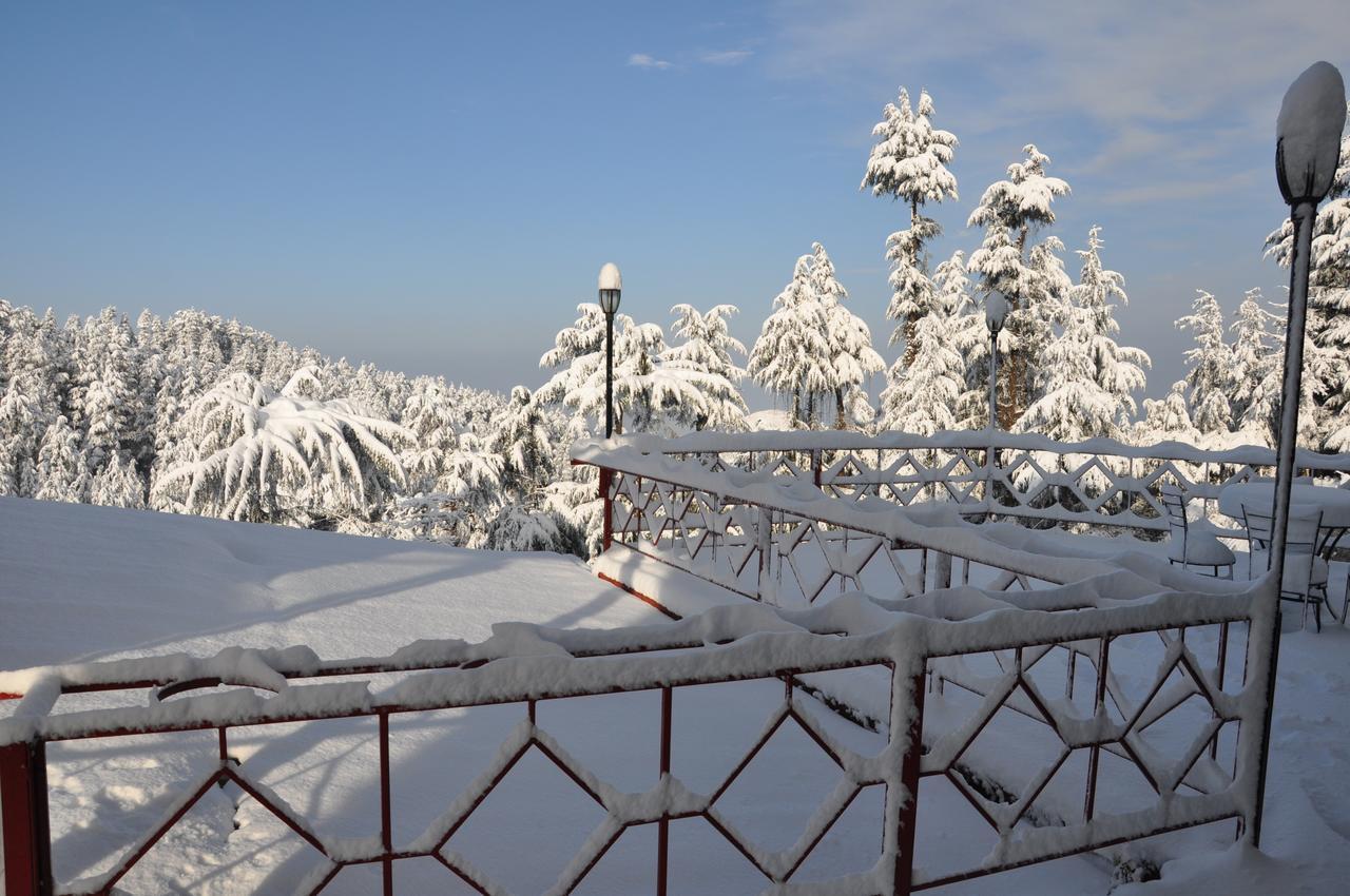 The Chalets Naldehra シムラー エクステリア 写真