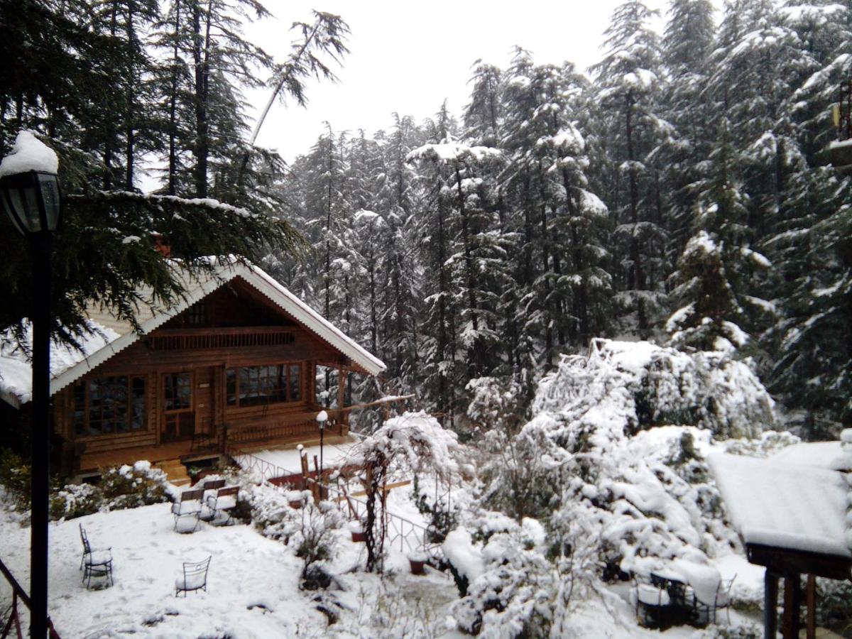 The Chalets Naldehra シムラー エクステリア 写真